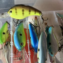 Crankbaits