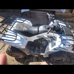 atv kawaski brute force 300