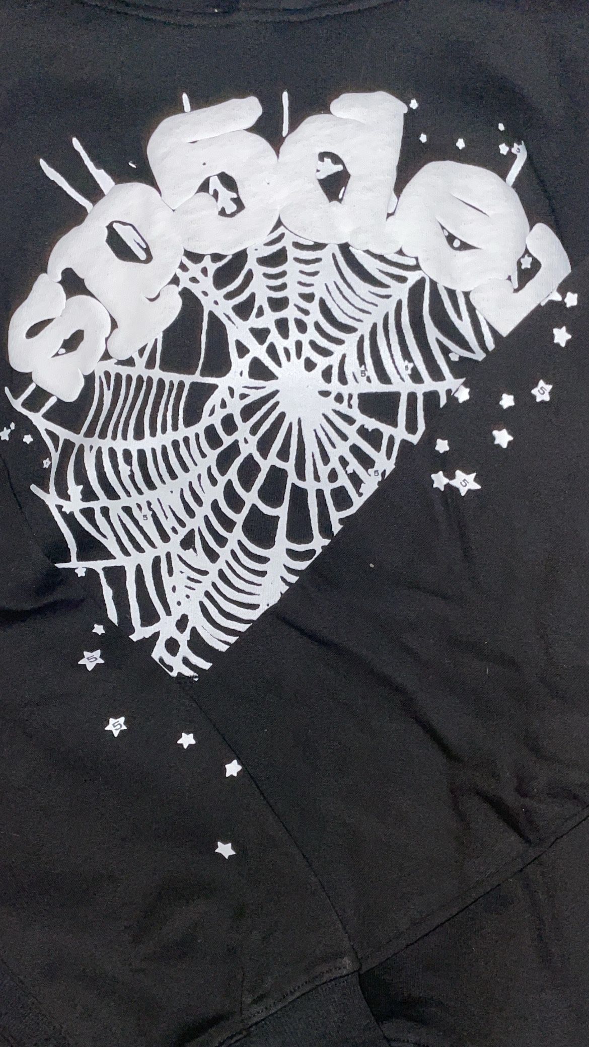 Black And White Spider