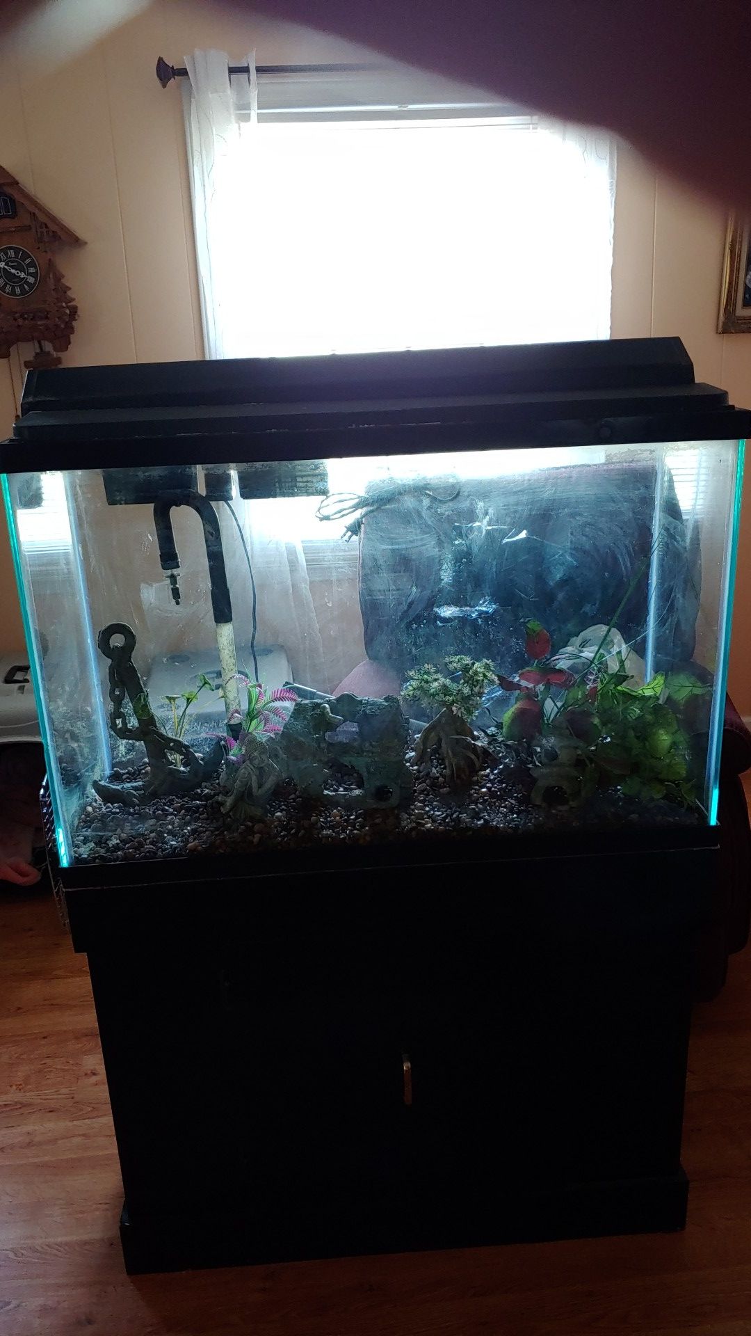 Fish tank