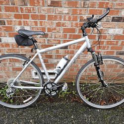 Novara Forza bike from REI