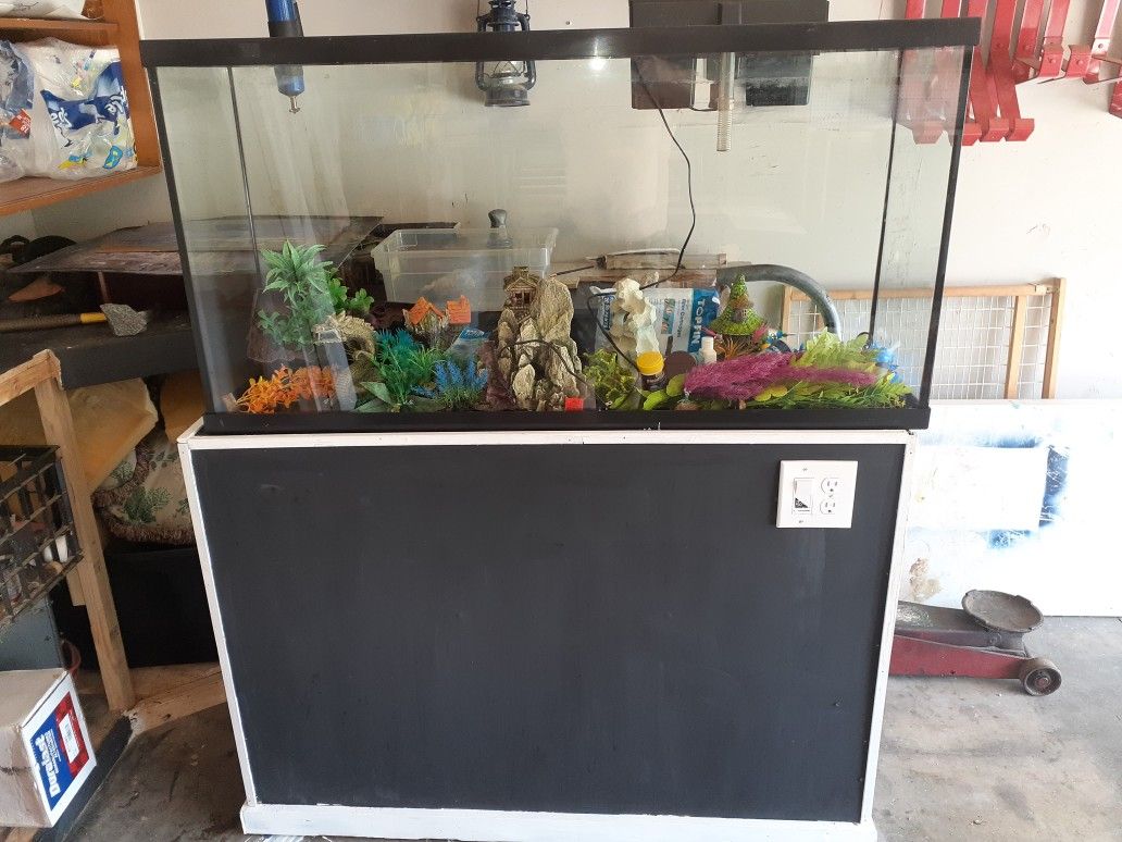 60 gal aquarium