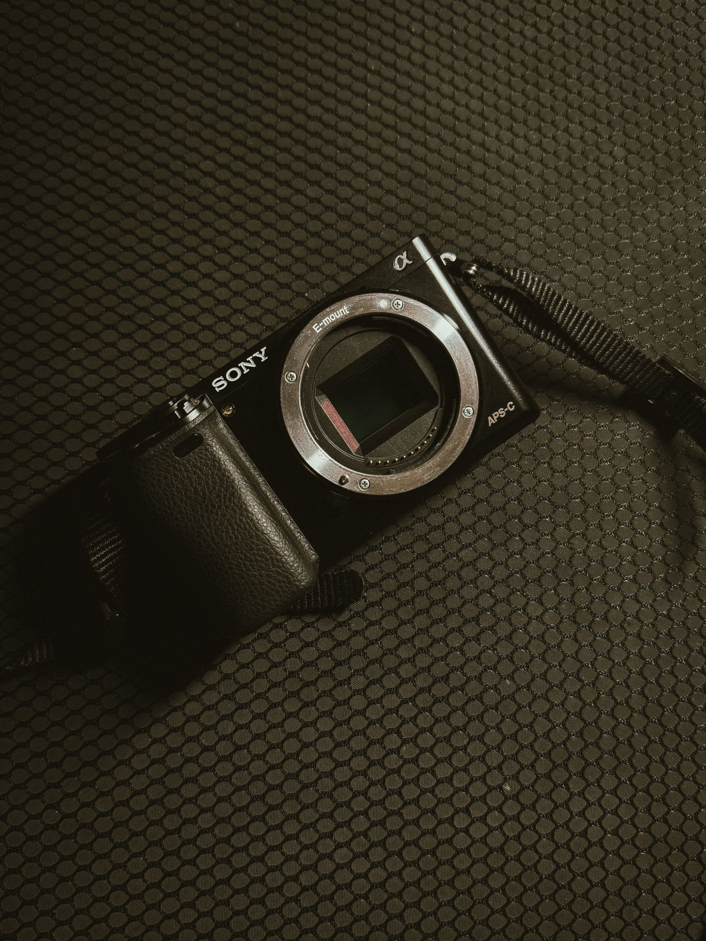Sony A6000 Kit (2 Lenses + Camera bag)
