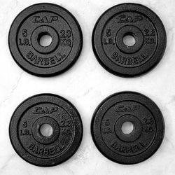 4 x 5 lbs Weights / Weight Plates