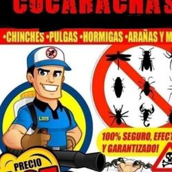 PRODUCTO PARA ELIMINAR CUCARACHAS
