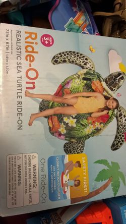 Ride On Sea Turtle