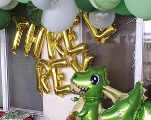 Dinosaur party supplies