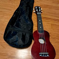 Ukulele China
