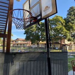 Basketball Hoop