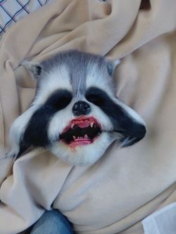 Cat mask