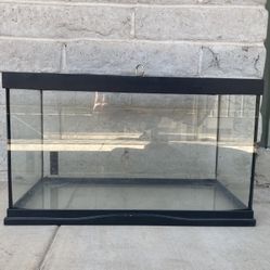 Cage for Invertebrates or Reptile