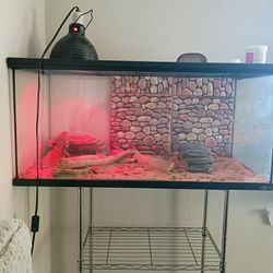 Bearded Dragon Tank With Lamp 
