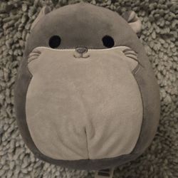 Squishmallow Chinchilla Stuffed Animal, Mint Condition, Pet Free/Smoke Free Home