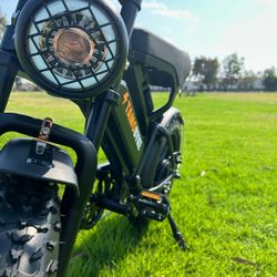 brand New Electric Bike 750w (Peak 1000w) 48v 15ah Dual Suspensions Hydraulic Brakes 