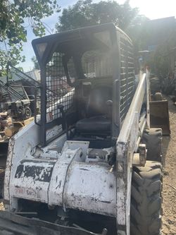 Bobcat 