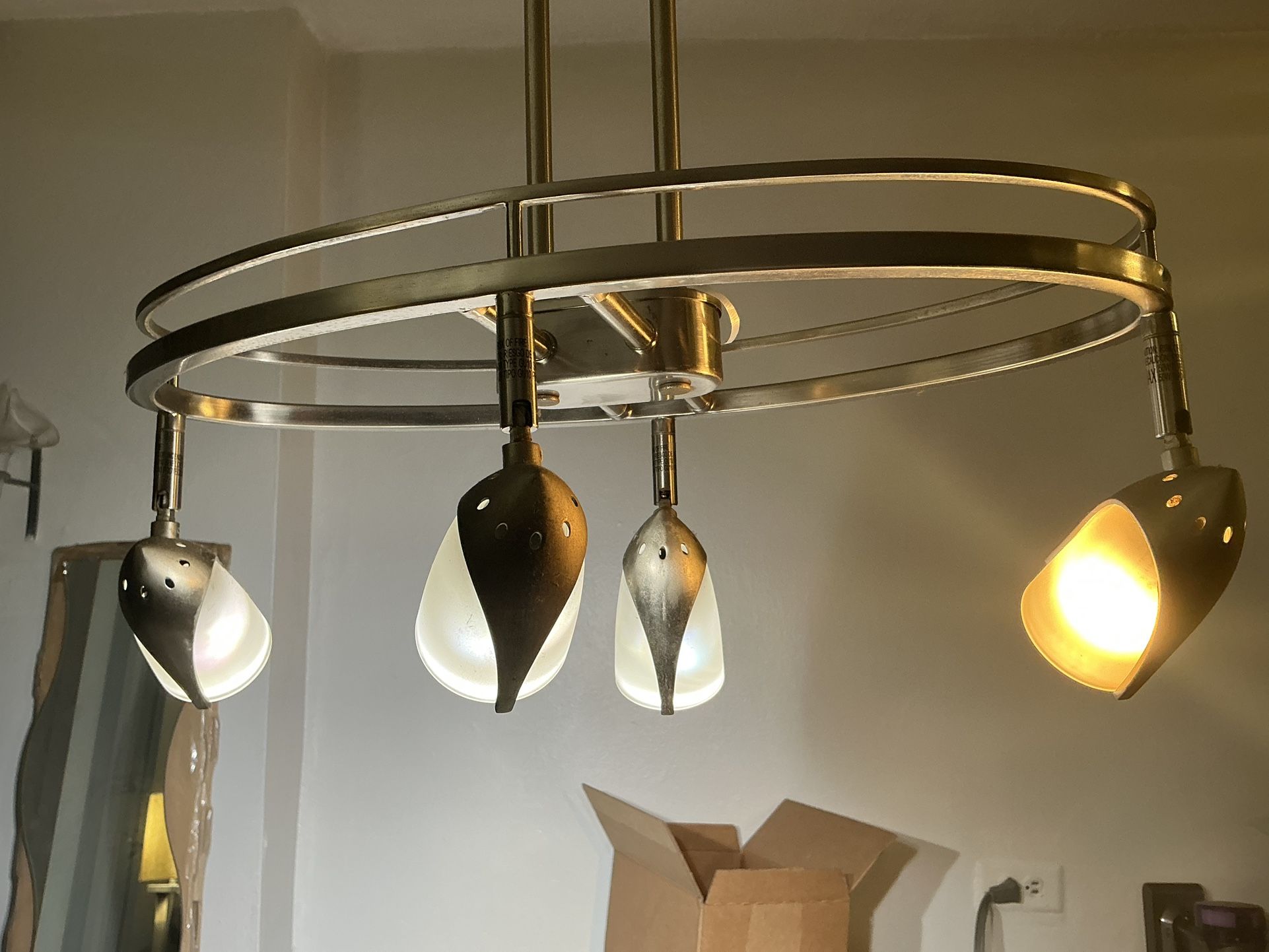 Mini Track Lights Chandelier