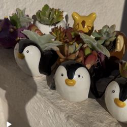 Animal Planters With Succulents