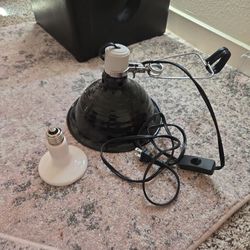 Reptile Heat Lamp with Bulb