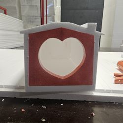 CAT (SHELTER & HOME) STRAY CAT 