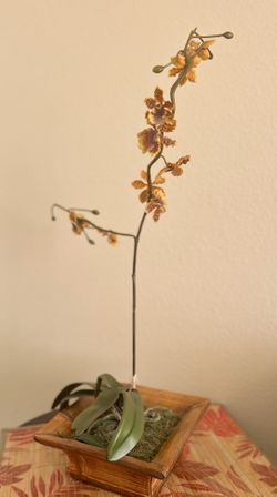 Faux Orchid Plant Display Wood Planter Box Container