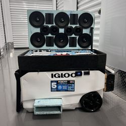 Neverita-Cooler System