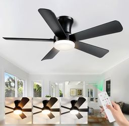 Black Ceiling Fan with Light and Remote