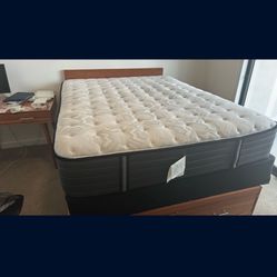 Sealy Matress And Box Spring (Queen Sized)