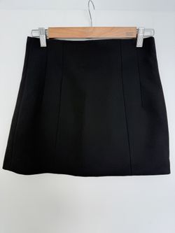 Zara Skirt 