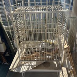 Large Bird Cage