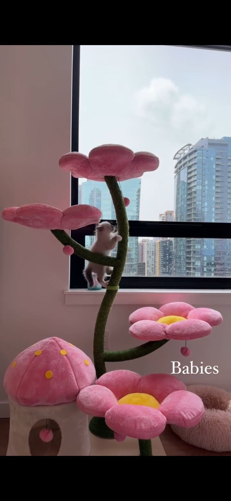 Kbs Cat Tree