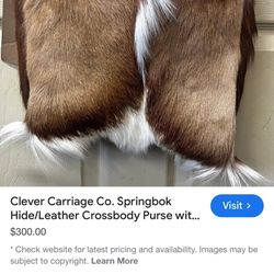Clever Carriage Company