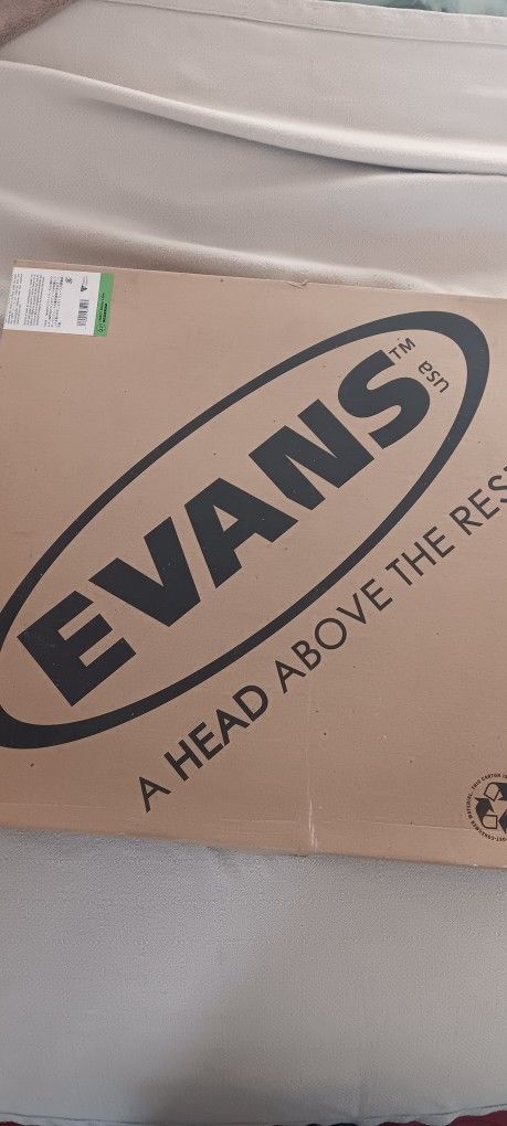Drum  Head 