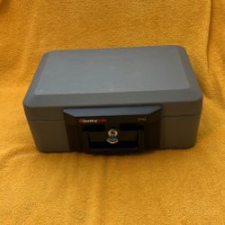Sentry Safe 1110