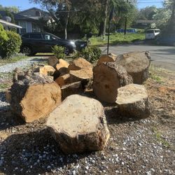 Free woods