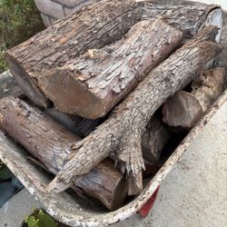 Firewood  🪵 