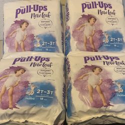 PULL UPS 72 Count SIZE 2T-3T