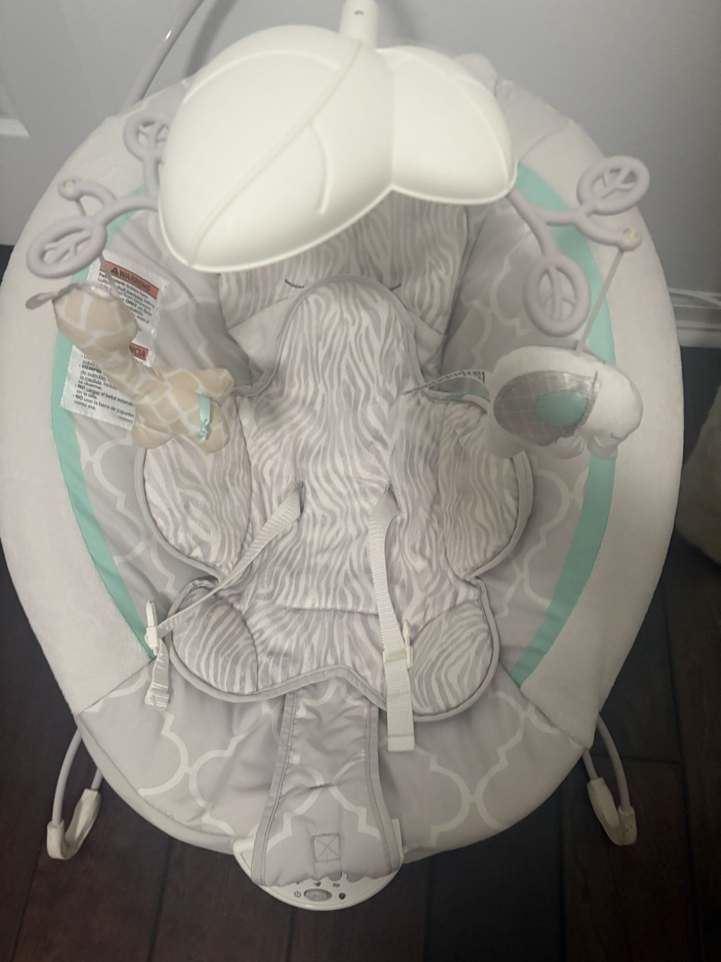 Baby Swing with music