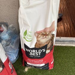 Word Best Car Litter