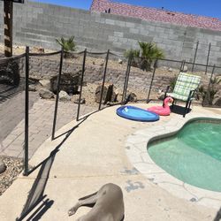 Pool Fence Needs Mesh