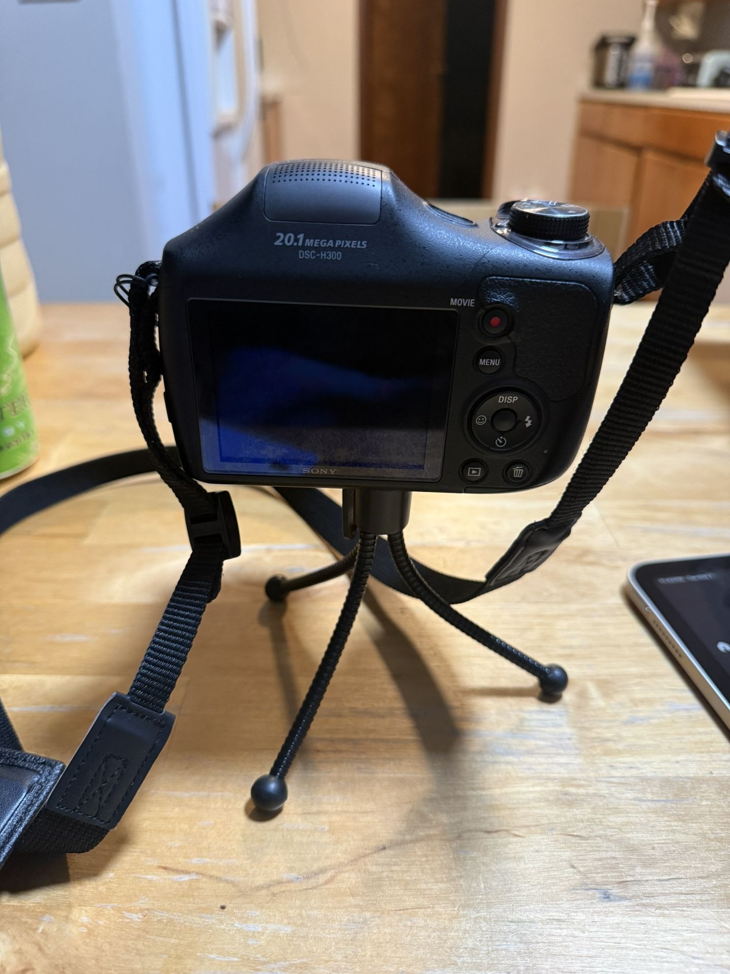 Sony Camera DSC-H300