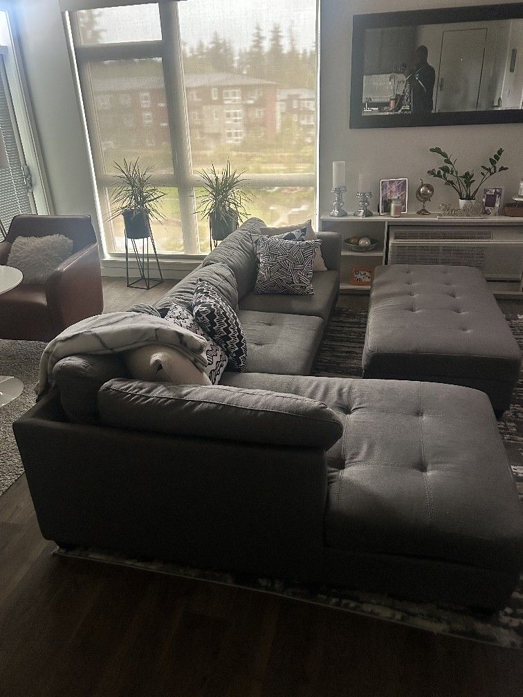 Couch With Chase