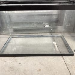 10 Gallon Fish Tank