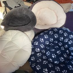 Assorted Pet Beds