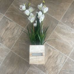 Artificial Plant 