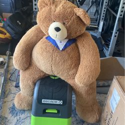 Large And Cute 4ft Teddy Bear 