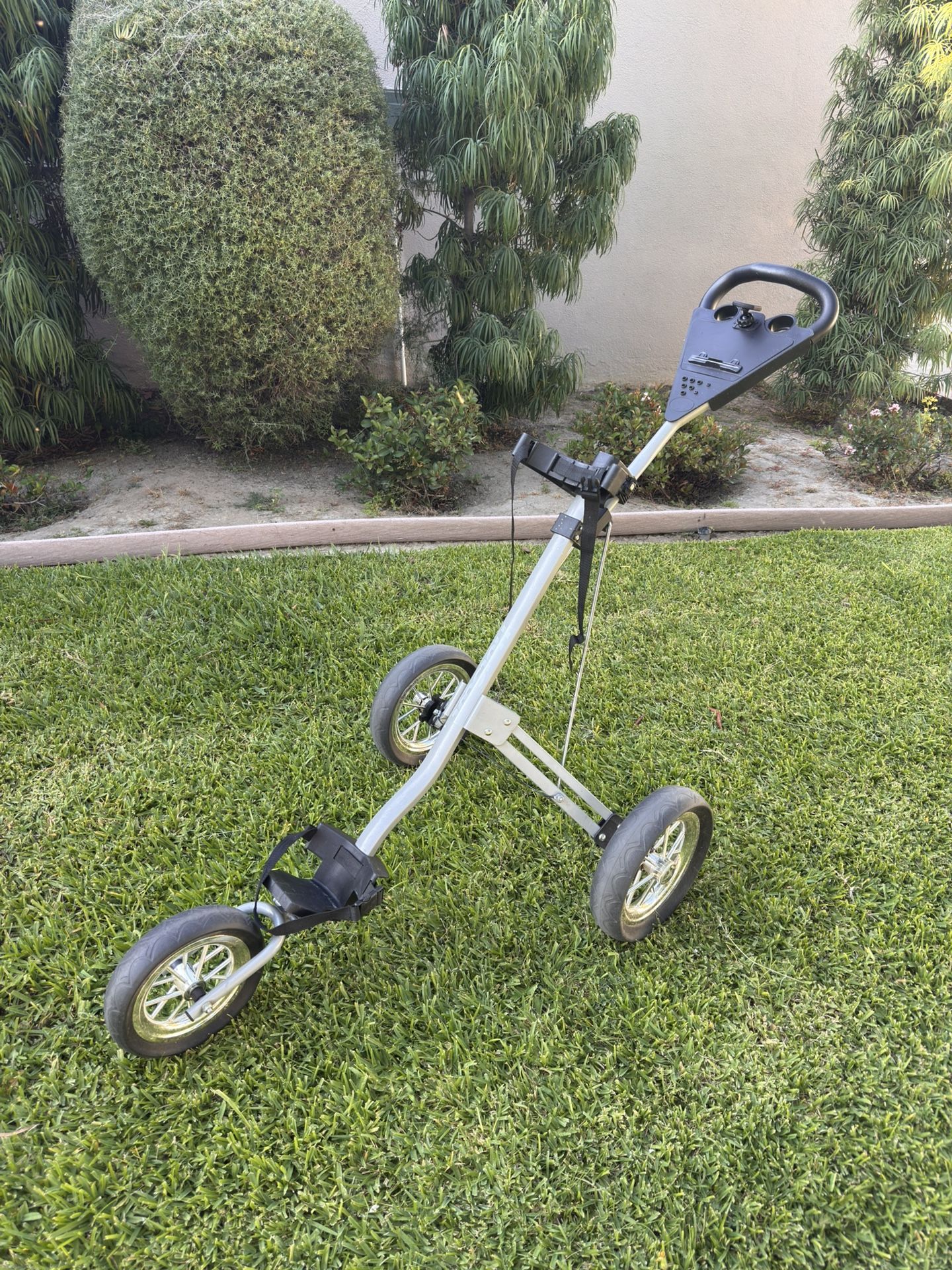 Golf Push Cart