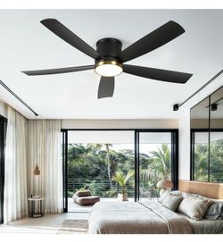 52" Ceiling Fan with Lights intall included
