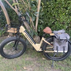 Mokwheel Mesa Plus ST E-Bike & Accessories- Perfect Condition!