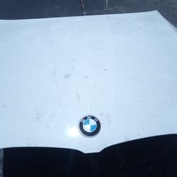 2009-2011 Bmw 328i (3 Series Sedan) Hood With Accessories Oem. 