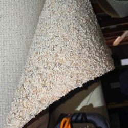 Carpet